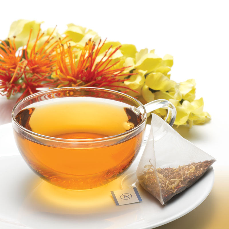 Revolution Honeybush Caramel Herbal Tea Pyramid Bag & Tea Cup